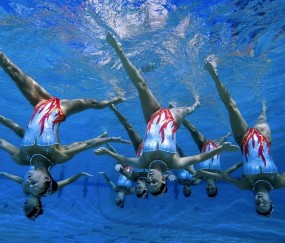 新手入门指南：买球app