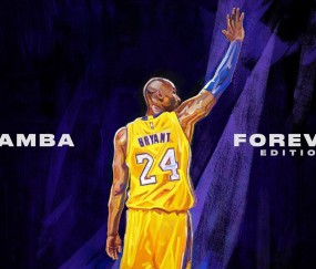 新手入门指南：正规外围买球app